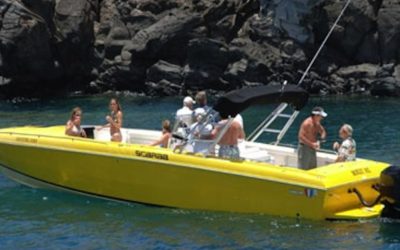 Maui snorkeling by private charter is a more exclusive option for you vacation needs.