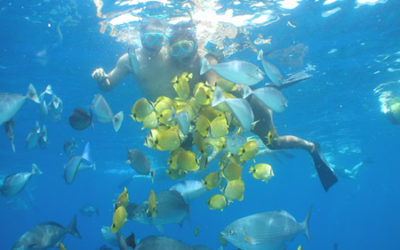 Snorkeling Maui and Lanai is a great way to spend the day.