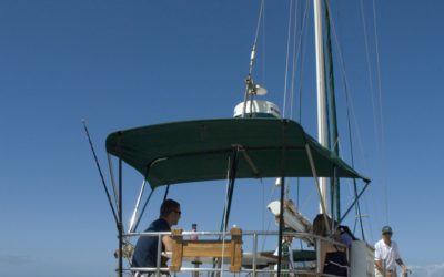 Maui private charters are a great way to ensure you have the place to yourself.