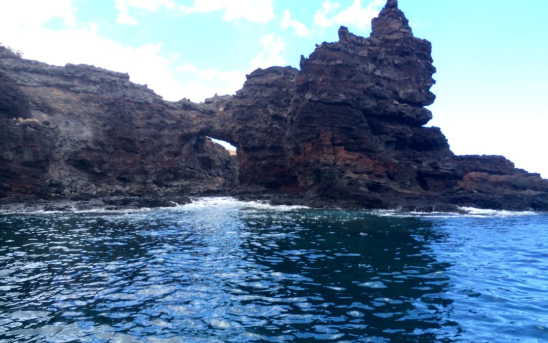 Join us for some lanai snorkeling!