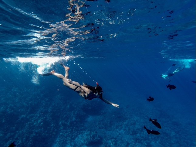 Private Snorkeling and Sightseeing Maui - Luxury Tours